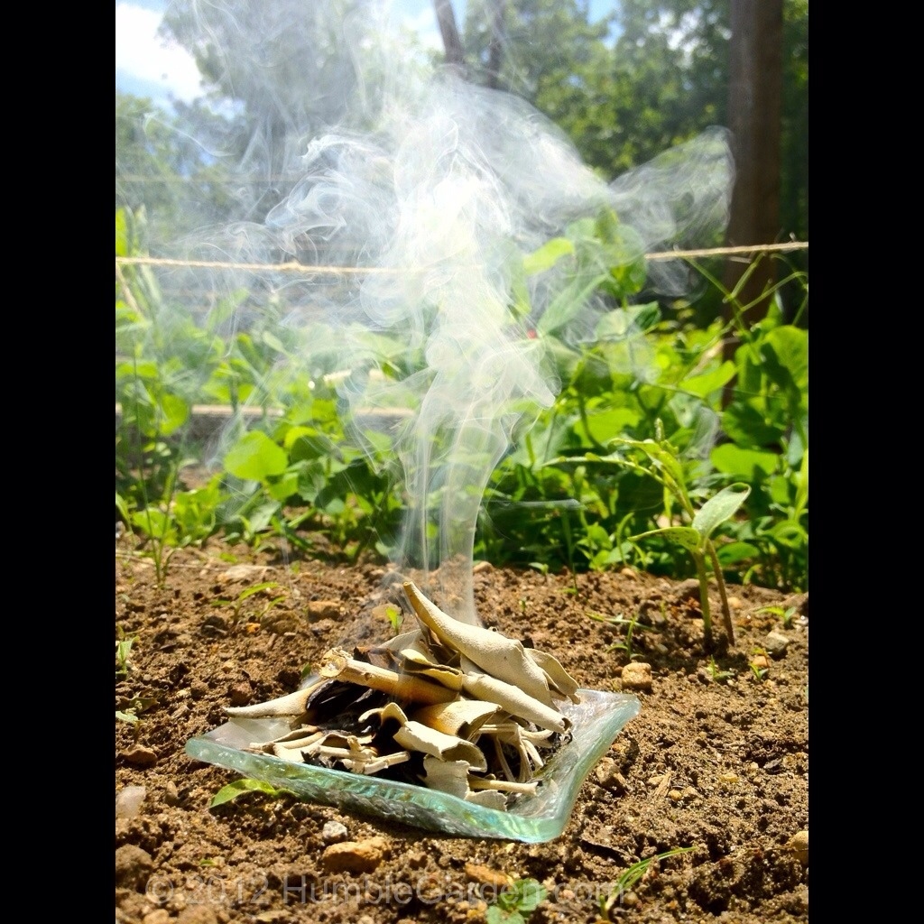 20120601-132838.jpg