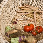 Recent fall plantings yielding goodness