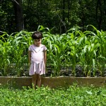 Gardening as refuge
