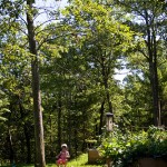 Garden as venue