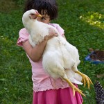 Sharon Astyk, Sustainable Martha, and the brutal comfortable truth