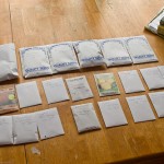 First of 2009 seeds!