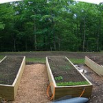 Four beds rising